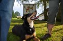 MCE Sommertreffen 2012 - 325